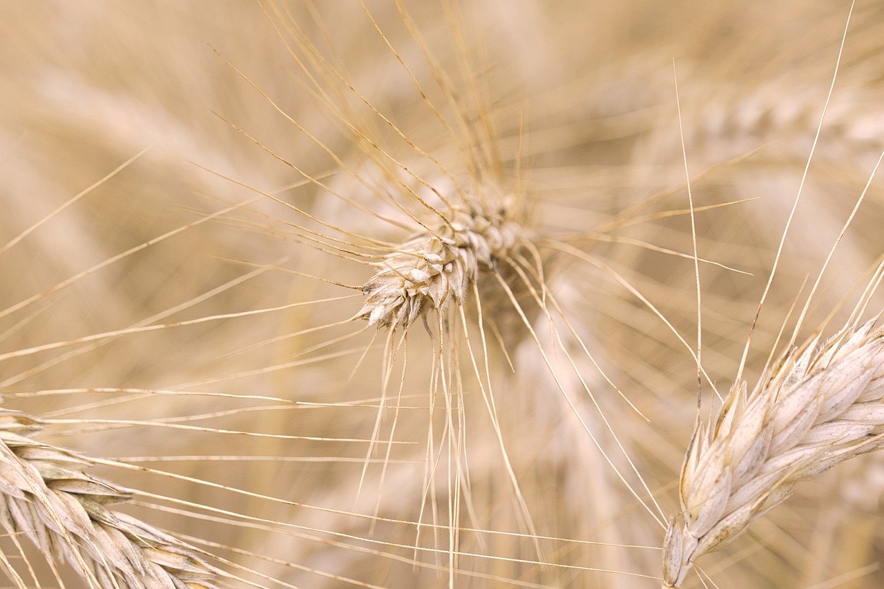 For more information on creating supportive work environments, visit the