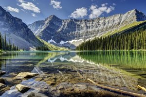 Adventures At Sea The Ultimate Guide To Cruise Ship Vacations