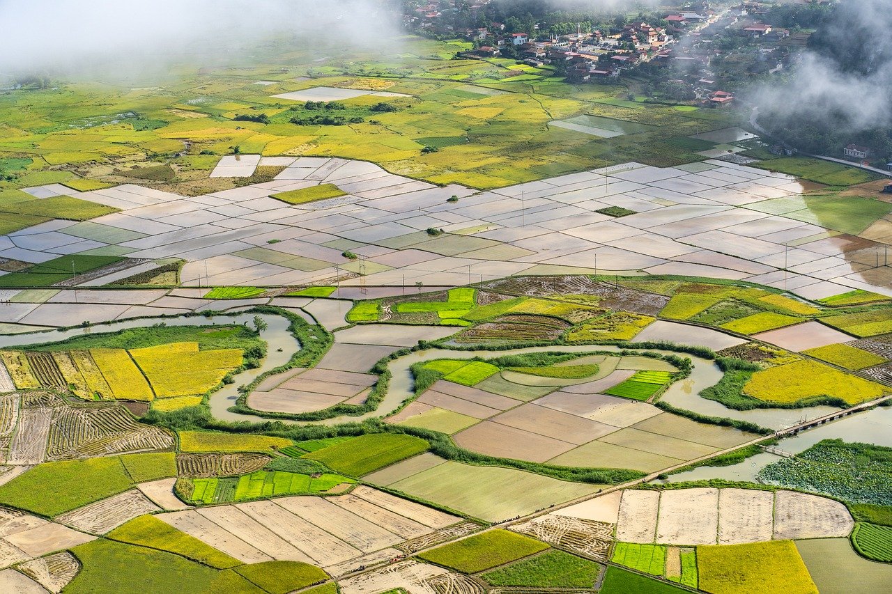 Brazil is a country of contrasts, where diverse landscapes and