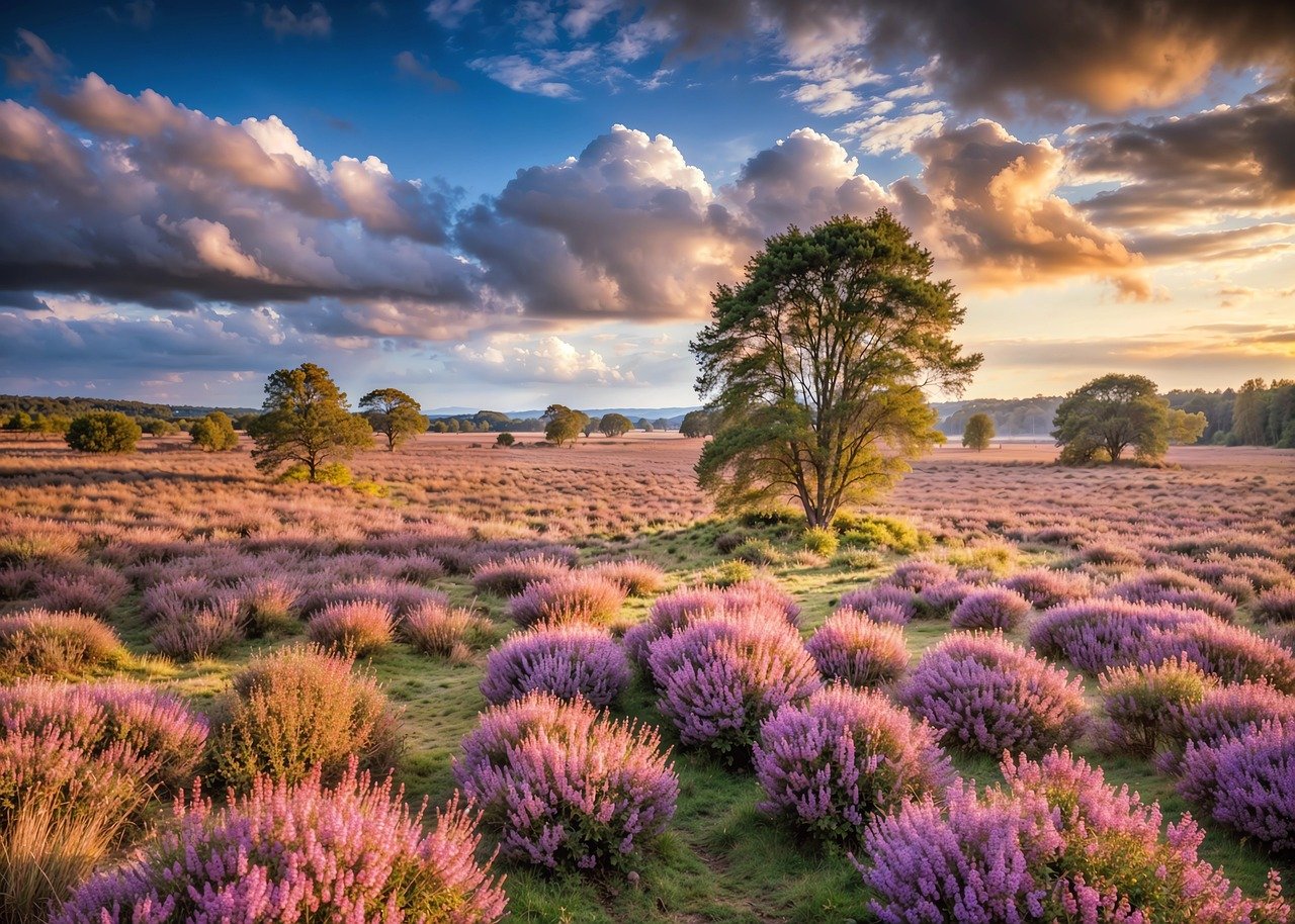 As eco-tourism continues to evolve, it faces both challenges and