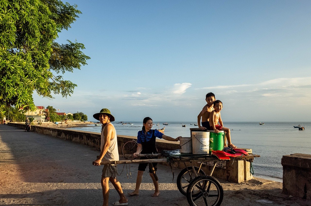 If you're inspired to experience Brazil through its music, there