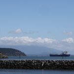 Exploring Brazils Coastal Cities A Detailed Itinerary For Sun Sand And Sea Lovers