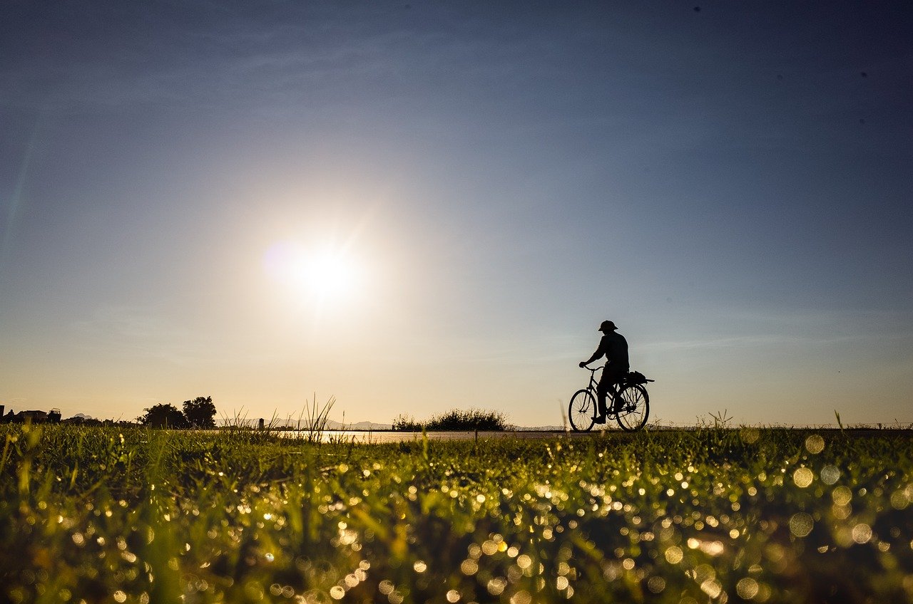 Tour operators play a significant role in shaping the experiences