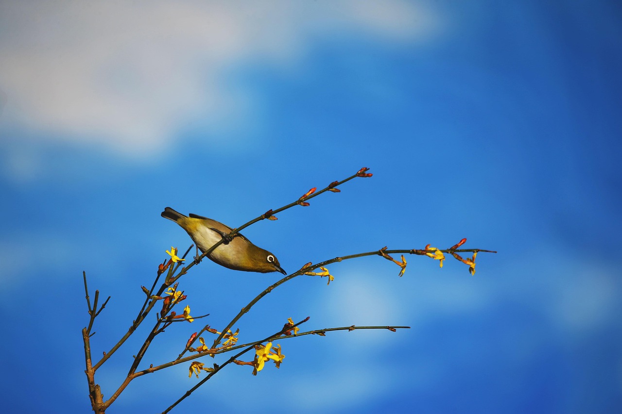 By preparing for the unexpected, you can avoid financial stress