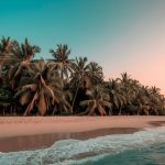 Immerse In Brazils Vibrant Culture An In Depth Guide To The Countrys Traditions And Local Festivals