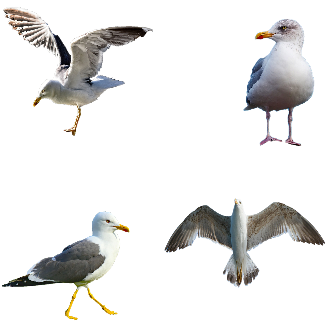 2. Embracing Imperfection