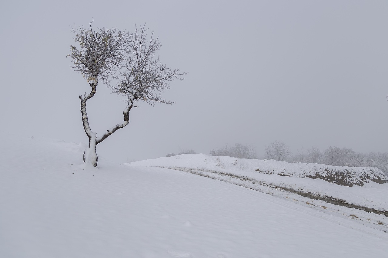 The Importance of Mindfulness in a Modern World