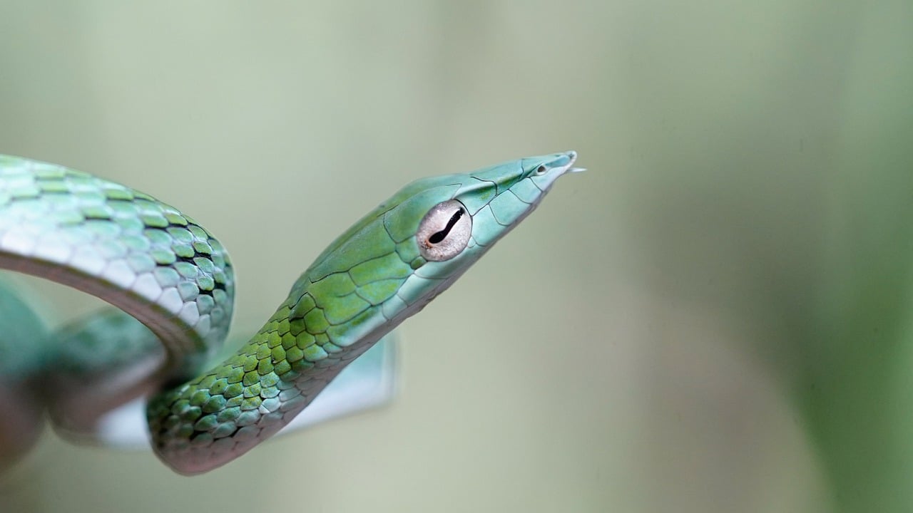 While Brazil's national parks offer incredible natural beauty, visiting them