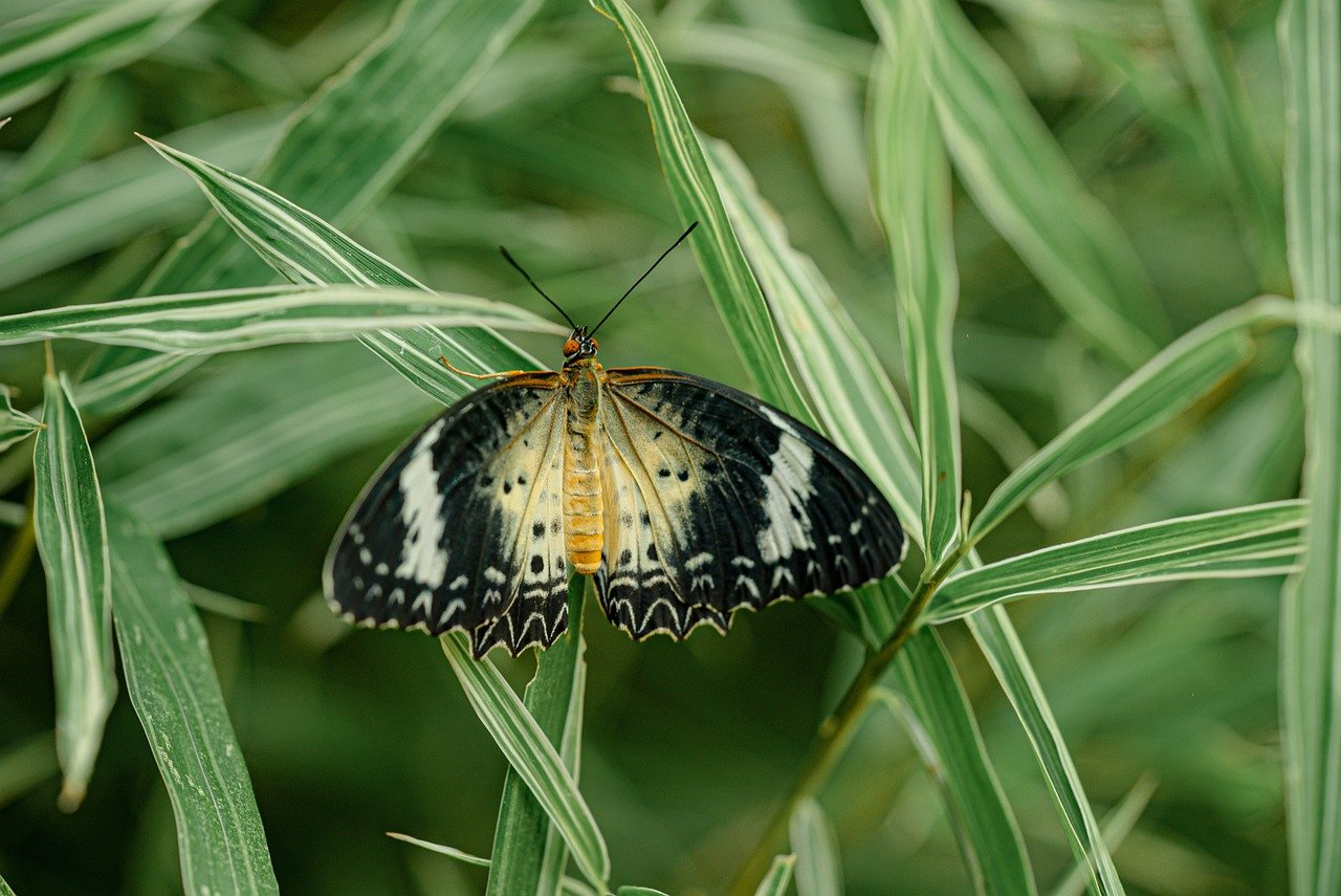 Social connections can have a significant impact on your immune