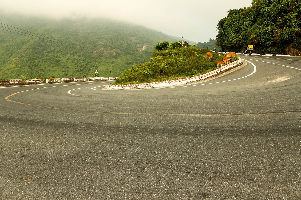 Consider joining online forums or social media groups related to