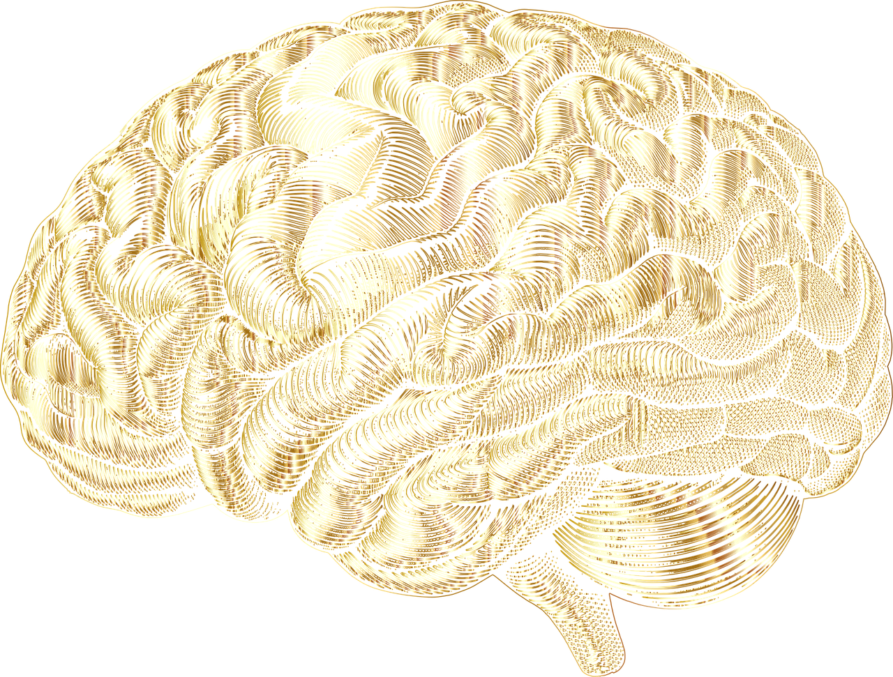 Implementing Preventive Care in Daily Life