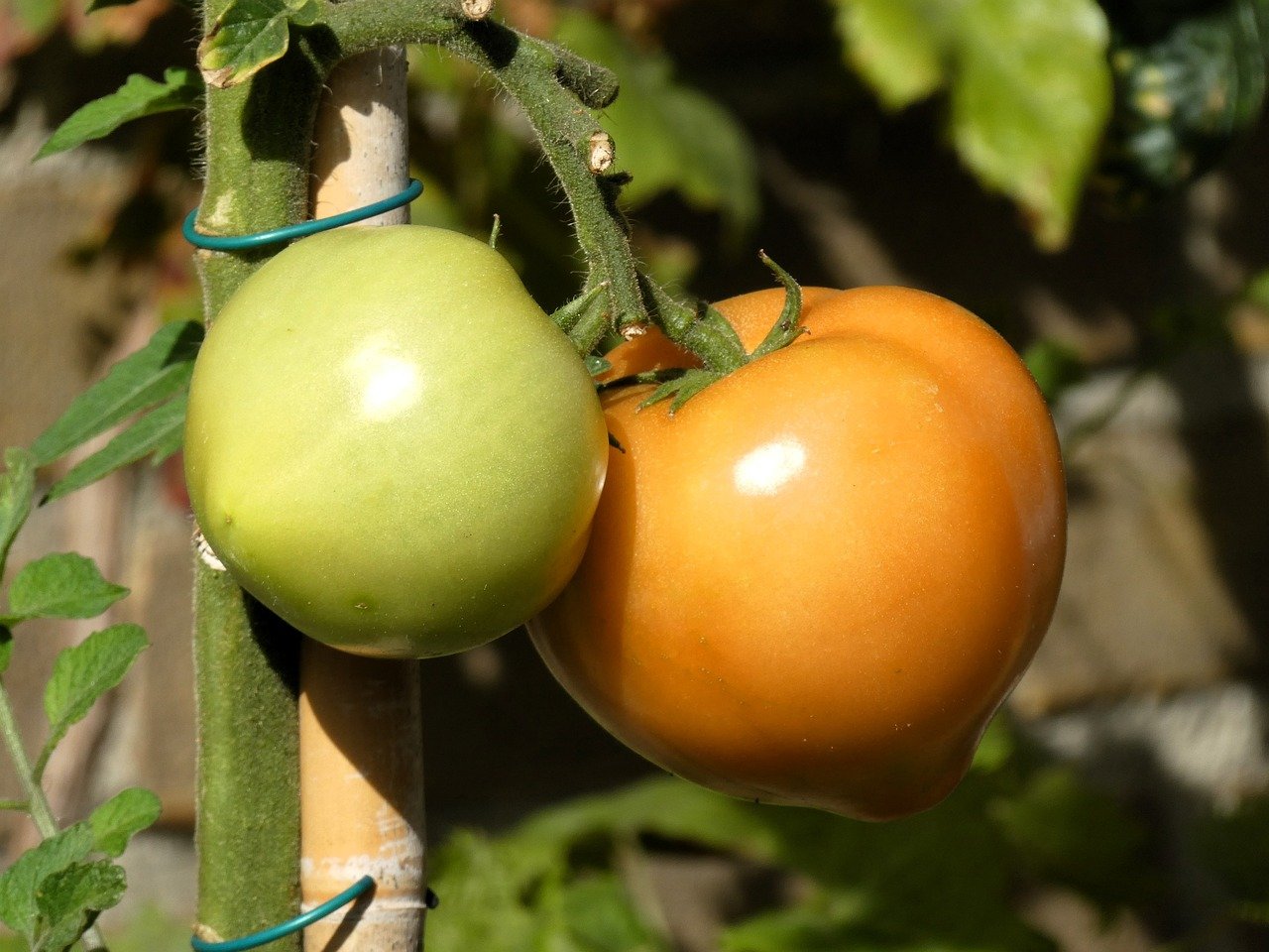 Understanding Mental Health Managing Stress And Anxiety In Modern Times